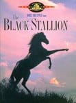 blackstalliondvdcover blackstalliondvdcover