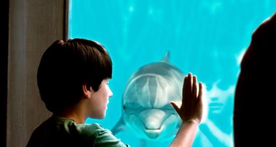 Dolphin Tale (2011) young actor United States September Nathan Gamble family film coming of age movie coming of age film review 
