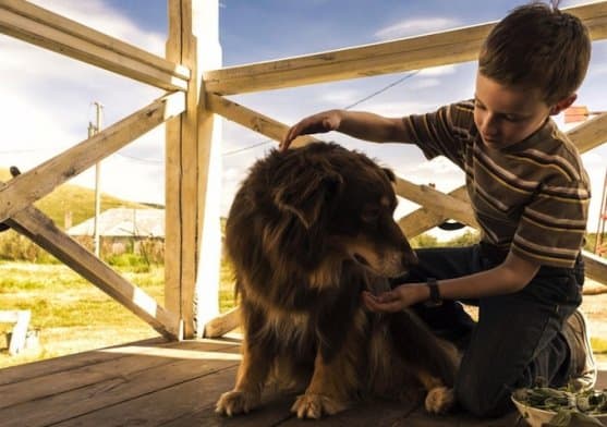 Kyle Catlett as T.J in The Young and Prodigious T.S. Spivet Kyle Catlett as T.J in The Young and Prodigious T.S. Spivet
